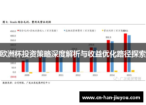 欧洲杯投资策略深度解析与收益优化路径探索 欧洲杯投资策略深度解析与收益优化路径探索